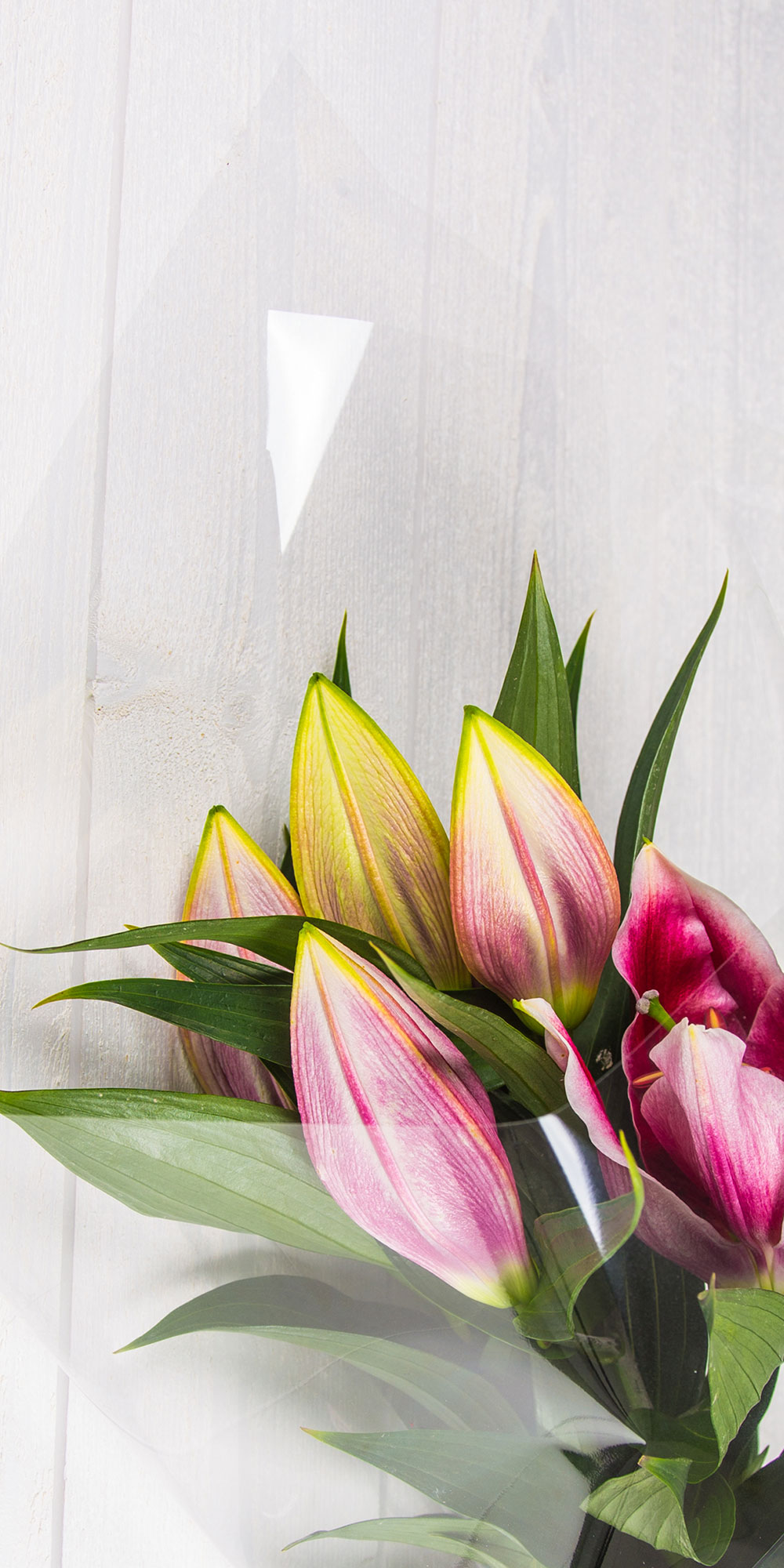 OPP Blumenfolie Grossrollen