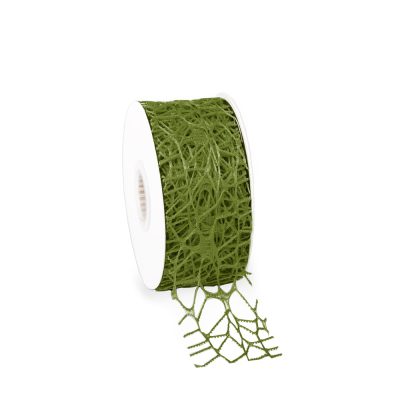 -06 olive
