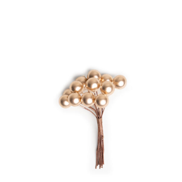 Pick Accessoire
