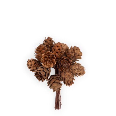 Pigne Nature Accessoire