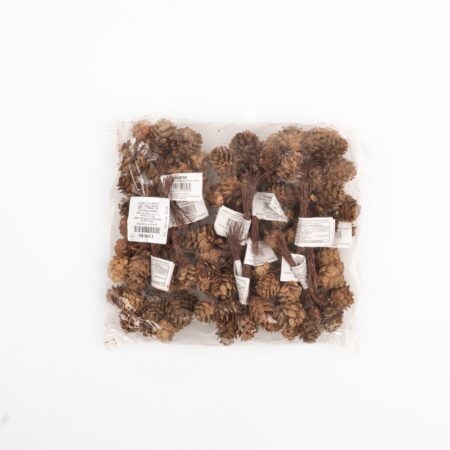 Pigne Nature Accessoire