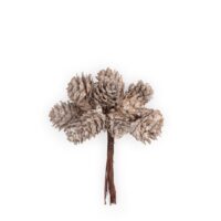 Pigne Weiss Accessoire