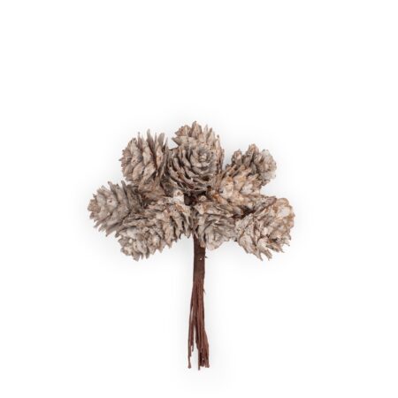 Pigne Weiss Accessoire