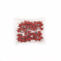 Bunch of 6 Berries Accessoire