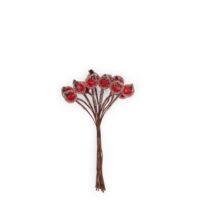 Bunch of 12 Berries Accessoire