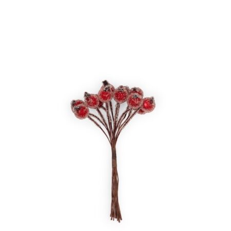 Bunch of 12 Berries Accessoire
